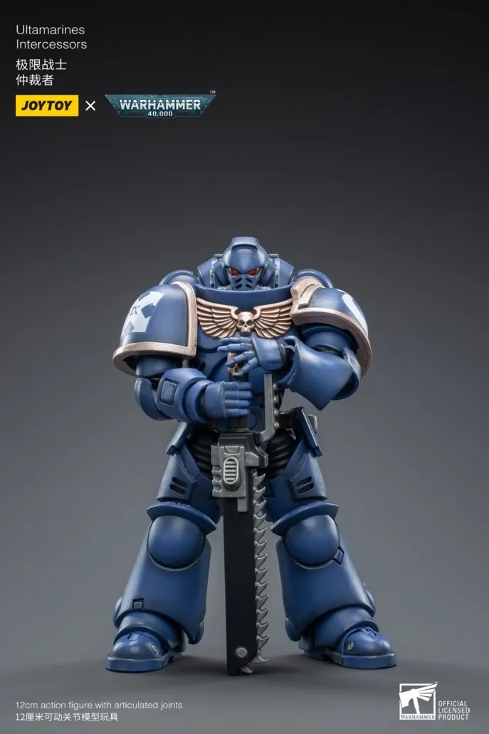 Ultramarines Intercessors Posed 