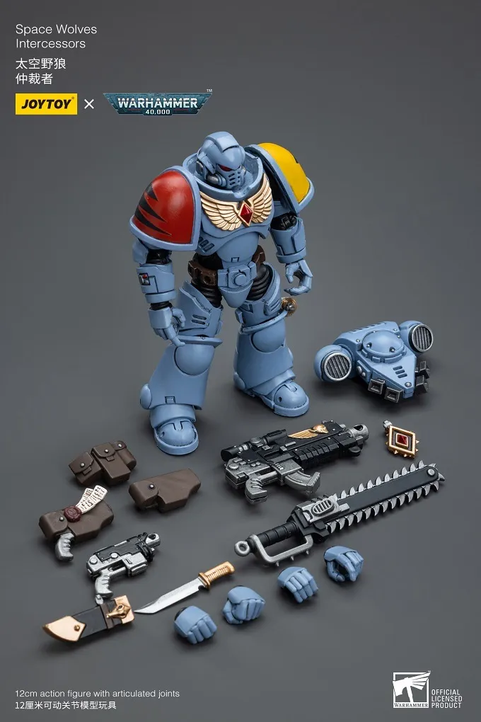 Space Wolves Intercessors